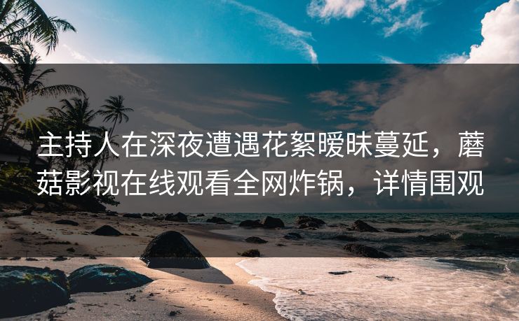 主持人在深夜遭遇花絮暧昧蔓延，蘑菇影视在线观看全网炸锅，详情围观