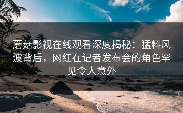 蘑菇影视在线观看深度揭秘：猛料风波背后，网红在记者发布会的角色罕见令人意外