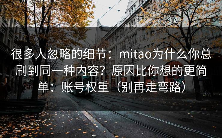 很多人忽略的细节：mitao为什么你总刷到同一种内容？原因比你想的更简单：账号权重（别再走弯路）